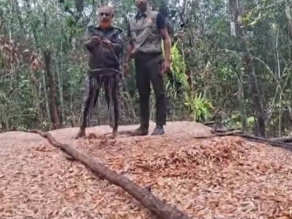 চিংড়ি