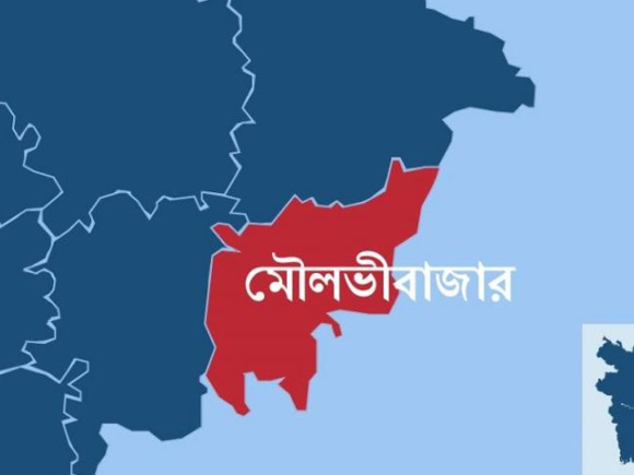 স্টার অনলাইন গ্রাফিক্স