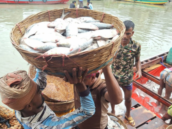 ইলিশ বরিশাল ১