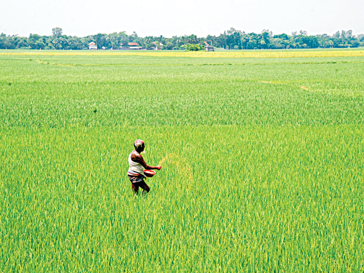 ছবি: স্টার।