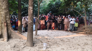 ছবি: সংগৃহীত