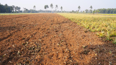 ছবি: স্টার