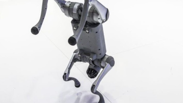 চীনা রোবট কুকুর নিজেদের দাবি করে বিতর্কে ভারতের বিশ্ববিদ্যালয়। ছবি: বিবিসি