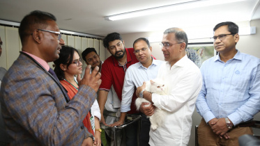 ছবি: সংগৃহীত