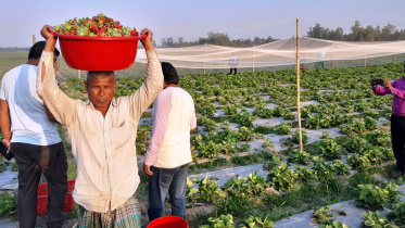 ছবি: এস দিলীপ রায়