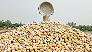 ছবি: স্টার।