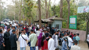 lawachara national park