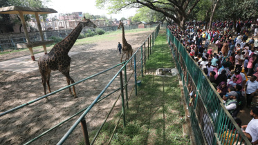 ছবি: প্রবীর দাশ/ স্টার