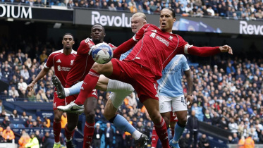 dijk.jpg