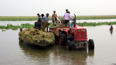 মেদীর হাওর