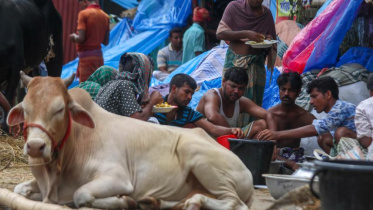 ছবি: স্টার।