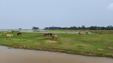 ছবি: স্টার