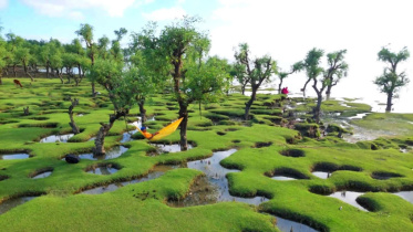 নিদ্রার চর