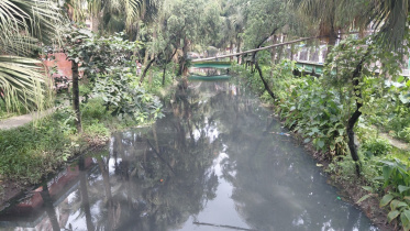 ছবি: স্টার।