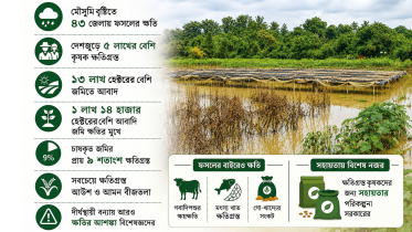 crops damage