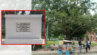 একটি বিশ্ববিদ্যালয় যার নামে, তার স্মৃতির গুরুত্বপূর্ণ এই দুই চিহ্নই বিশ্ববিদ্যালয়ের সীমানার বাইরে।