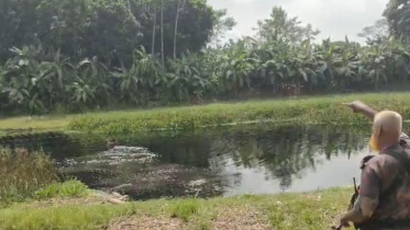 পুশ-ইন ঠেকাতে সীমান্তে বিজিবির সদস্য। ছবি: সংগৃহীত 