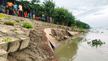 Kurigram dyke collpasing