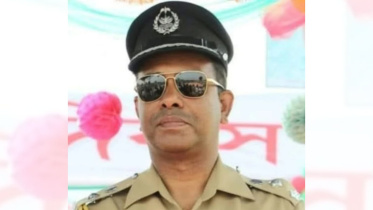 dig tutul