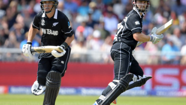 taylor and williamson