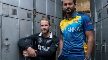 williamson and dimuth