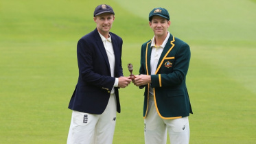 the ashes