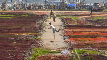 Rajib Raihan best capture 