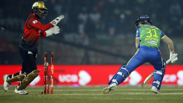 David Warner 