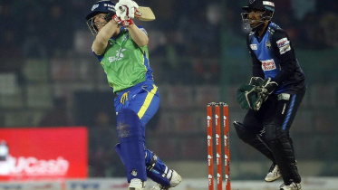 David Warner 