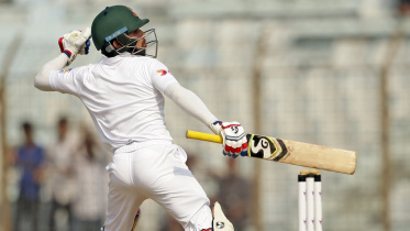 Mominul Haque