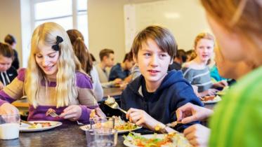 sweden meal.jpg