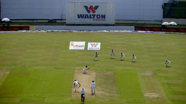 Mominul Haque 