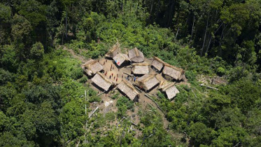 amazone.jpg