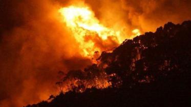 australia wildfire