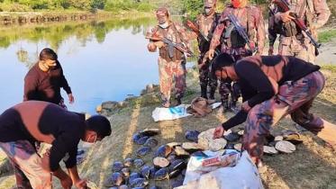 BGB rescued 140 tortoises in Khagrachhari.jpg
