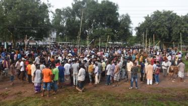 Bogura cattle market.jpg