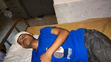 borguna journo.jpg