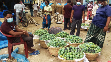 চাঁপাই ১.jpg