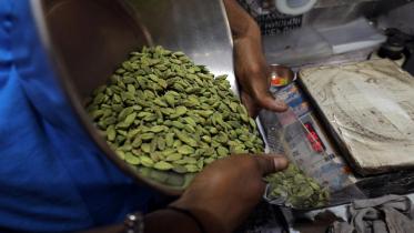 cardamom.jpg