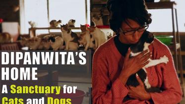 sanctuary for animals