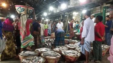 chandpur ilish pic 05.jpg