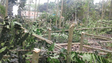 Chandpur Pic 25-03-2017.jpg