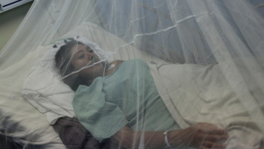 chikungunaya_afp.jpg
