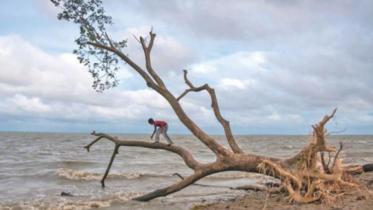 climate_change_103.jpg