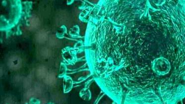 Coronavirus