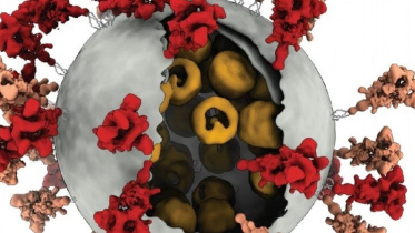 Coronavirus-1.jpg