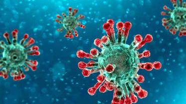 coronavirus-1_5.jpg