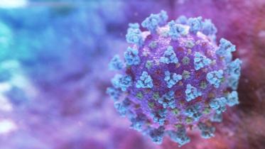 coronavirus-covid19_0.jpg