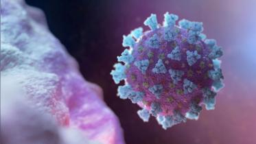 coronavirus-covid19.jpg