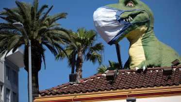 Coronaviru